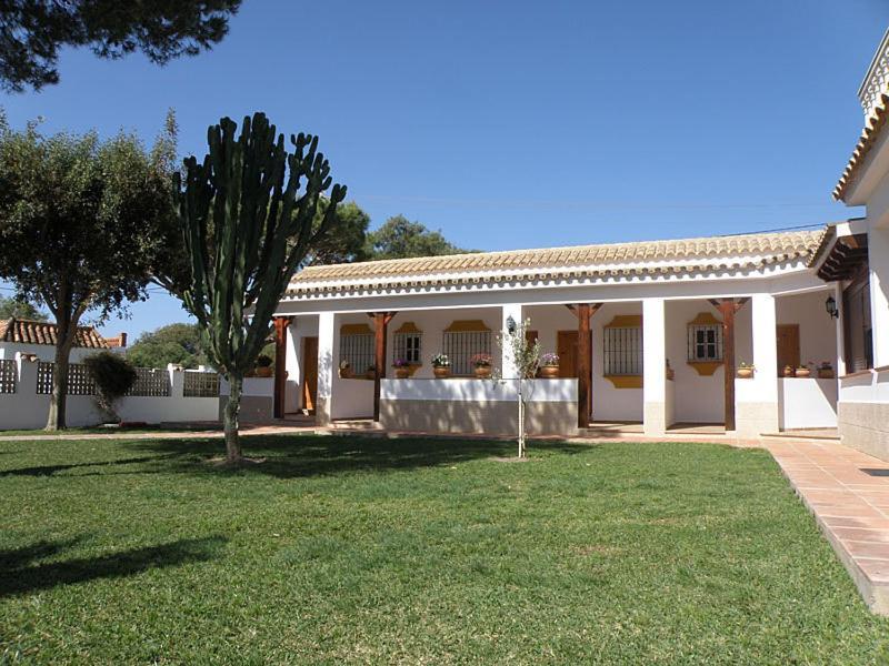 לוס קניוס דה מקה Hostal Las Acacias מראה חיצוני תמונה