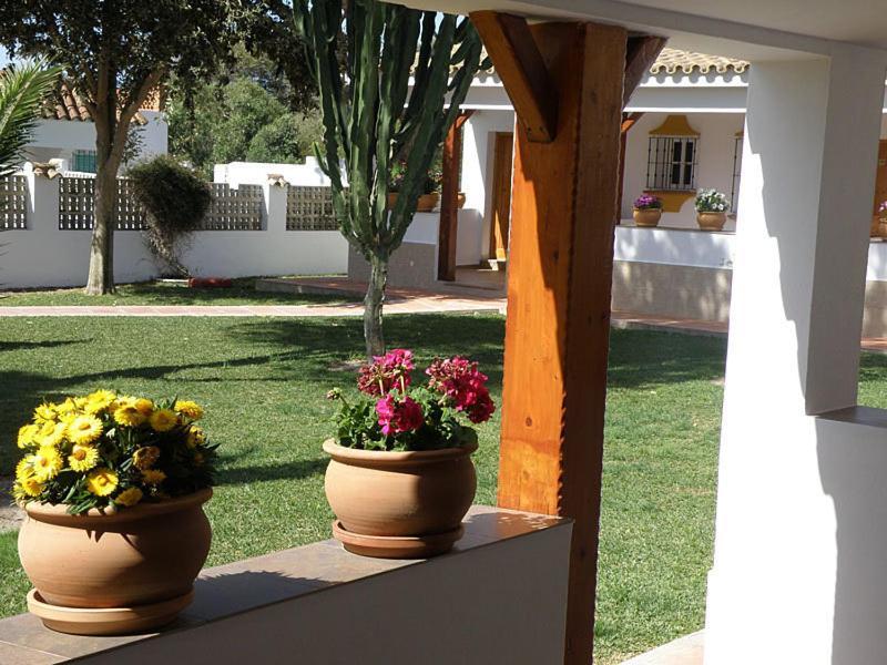 לוס קניוס דה מקה Hostal Las Acacias מראה חיצוני תמונה